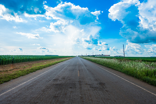 Imagen de la cosecha de maíz abierto con una carretera pavimentada que se extiende en el medio y brillante azul del cielo en verano photo