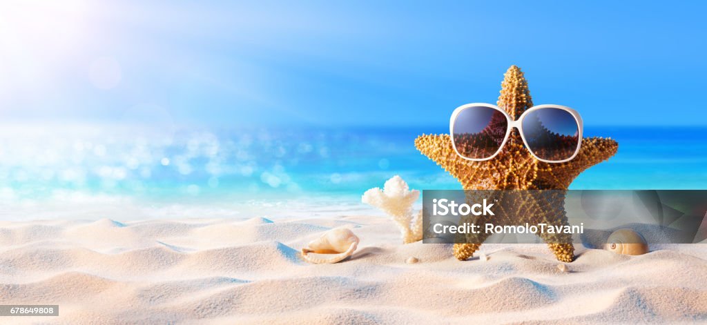 Starfish With Sunglasses On The Sunny Beach Relaxation And Tanning On The Beach Starfish Stock Photo