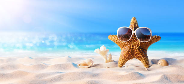 Starfish With Sunglasses On The Sunny Beach Relaxation And Tanning On The Beach starfish sunglasses stock pictures, royalty-free photos & images