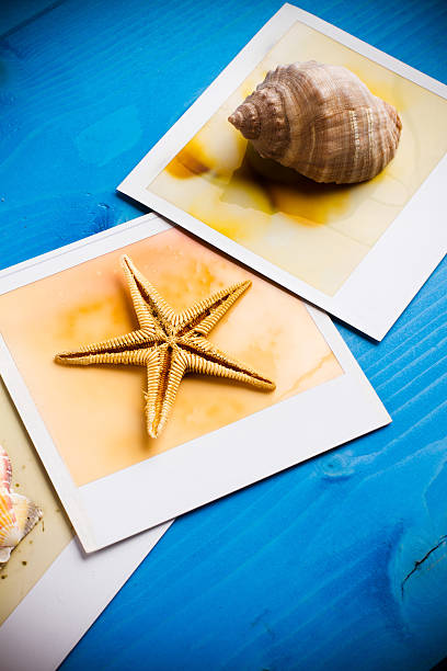 istock High Angle View Of Shells And Starfish With Picture Frames On Blue Table 678652955