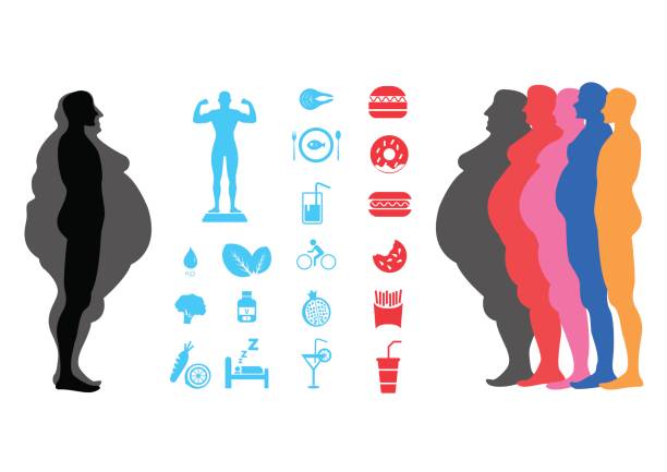 ilustrações de stock, clip art, desenhos animados e ícones de fat body, weight loss, overweight silhouette illustration - eating silhouette men people