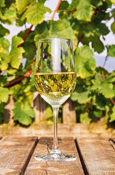 istock Glass of white wine 678692470