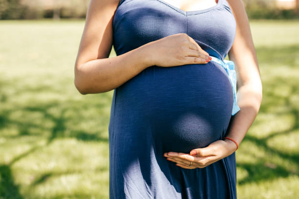 istock Pregnant life 678694912
