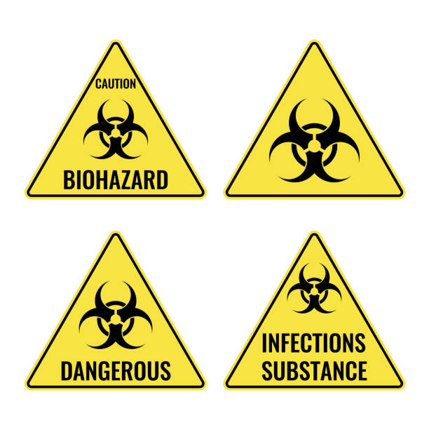 Warning yellow signs in triangular shape vector caution emblems Warning yellow signs in triangular shape vector caution emblems with symbols of biohazard and infections substances. Caution and dangerous places chemical weapons stock illustrations