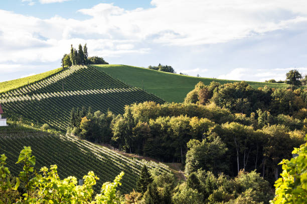 Wineyards in Styria, Austria, Styrian Wine Route