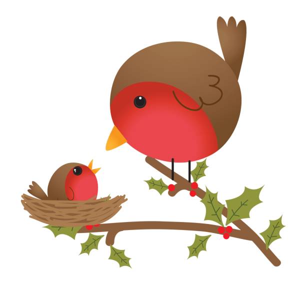 милая робин кормила своего ребенка - loving bird love birds nest stock illustrations