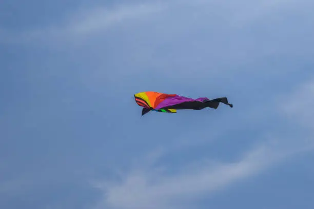 Photo of Rainbow Delta Kite Isolated on White with Clipping Path