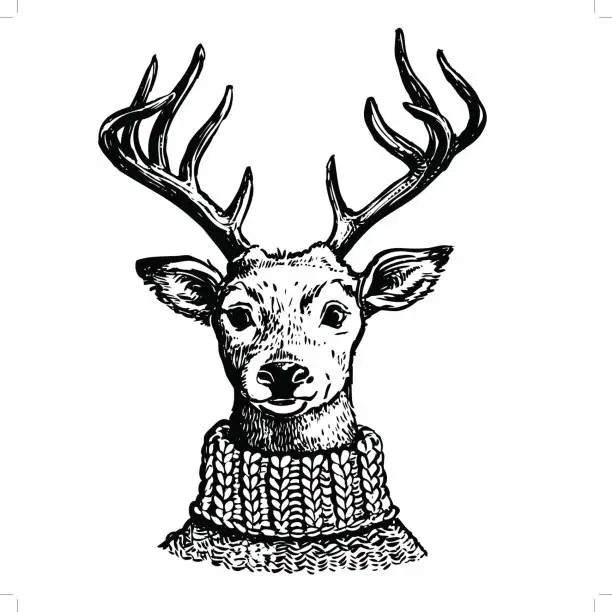 Vector illustration of Ink drawing of reindeer in knit sweater