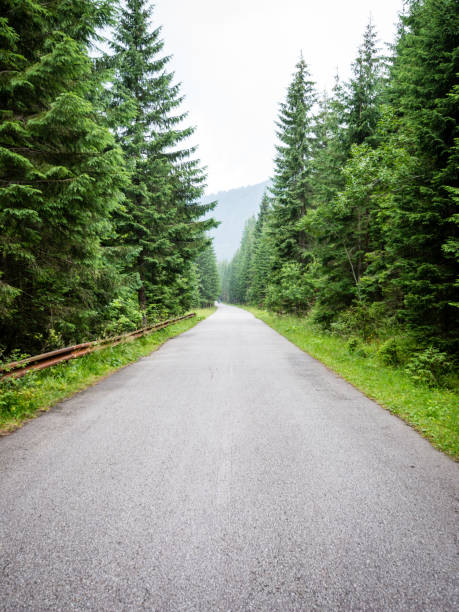 istock simple country road in summer 678730138