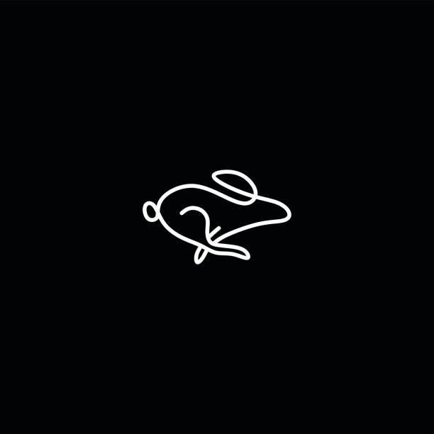 Icon For Speed Rabbit 900+ Fast Rabbit Icon Stock Illustrations, Royalty-Free Vector Graphics ...