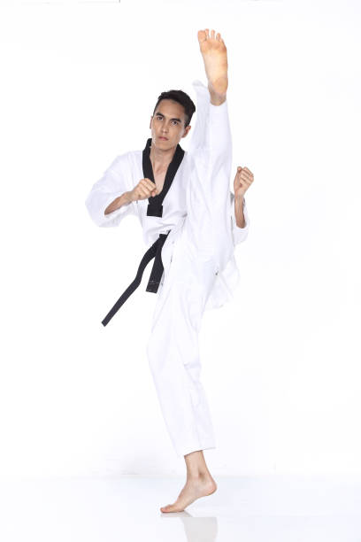 istock Master Black Belt TaeKwonDo Teacher show fighting pose, 678744352