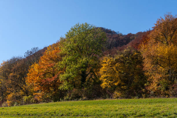 istock indian summer in south germany 678744432
