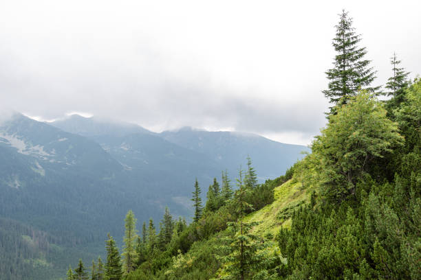 istock green mountain landscape covered with clouds 678751808