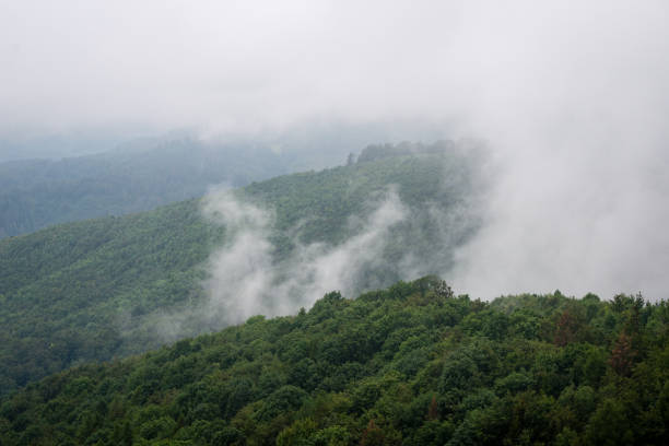 istock colorful countryside view in carpathians 678752098