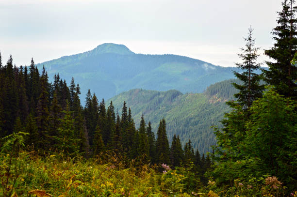 istock colorful countryside view in carpathians 678752130
