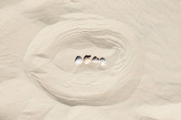 istock Template background of summer marine items on a sand 678752720