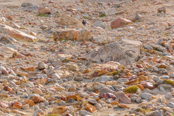 istock Rocky Landscape, Patagonia, Argentina 678753494