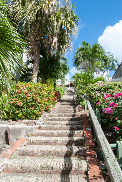 istock Virgin Island Stairs 678759684