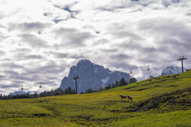 cloudy mountain scenery with wild horses silhouette