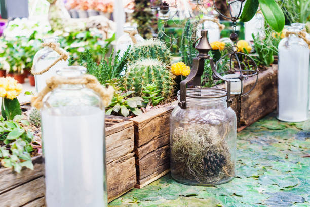 istock Small Cactus and Succulent in wood tray for home decoration 678771696