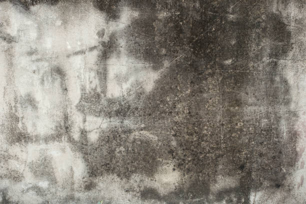 Dirty wall background. Dirty old cement plastering wall. nostoc stock pictures, royalty-free photos & images
