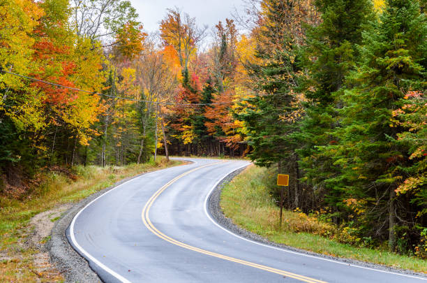 istock Wet Winding Mountain Road Lined with Colourful Trees in Autumn 678775968