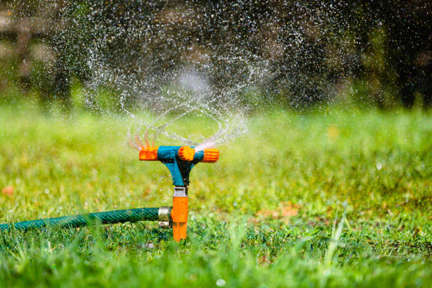 Garden sprinkler watering grass stock photo