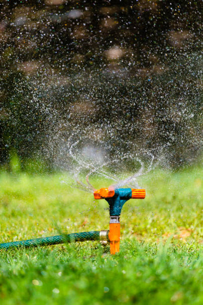istock Garden sprinkler watering grass 678776230