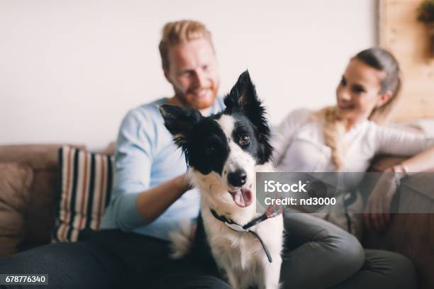 Schönes Paar Zu Hause Entspannen Und Liebevoll Ihr Haustier Stockfoto und mehr Bilder von Hund