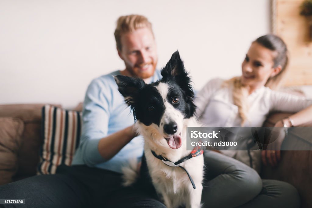 Hermosa pareja relajante en casa y amar a su mascota - Foto de stock de Perro libre de derechos