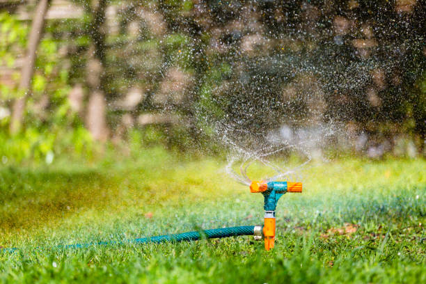 istock Garden sprinkler watering grass 678780566