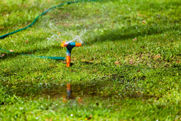 istock Garden sprinkler watering grass 678780712
