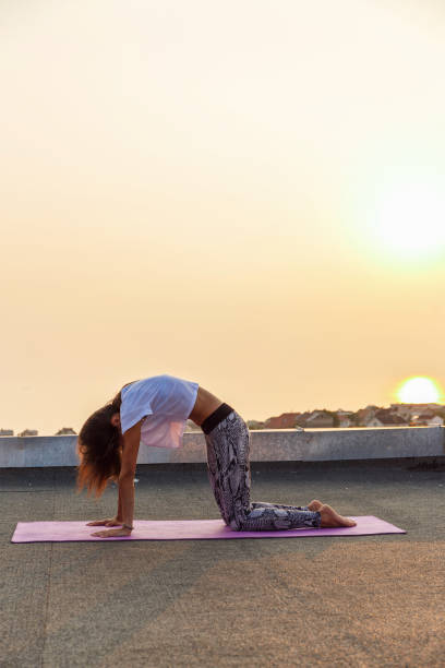istock Young woman practicing yoga 678790860