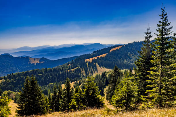 istock Slovak mountainous landscape 678791440