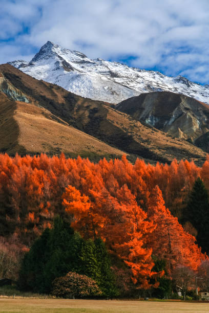 istock New Zealand mountain Scenery 678795054