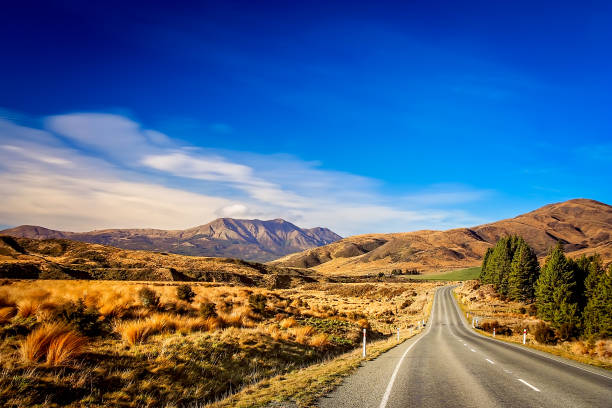 istock Road through New Zealand 678795776