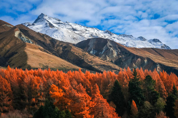 istock New Zealand mountain Scenery 678795846