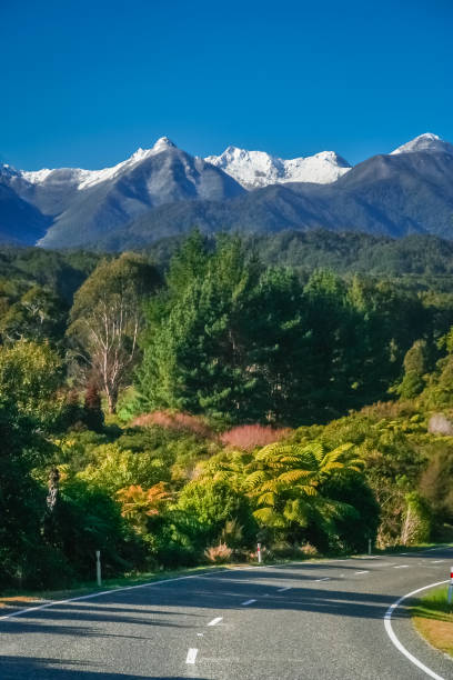 istock Road through New Zealand Alps 678800178