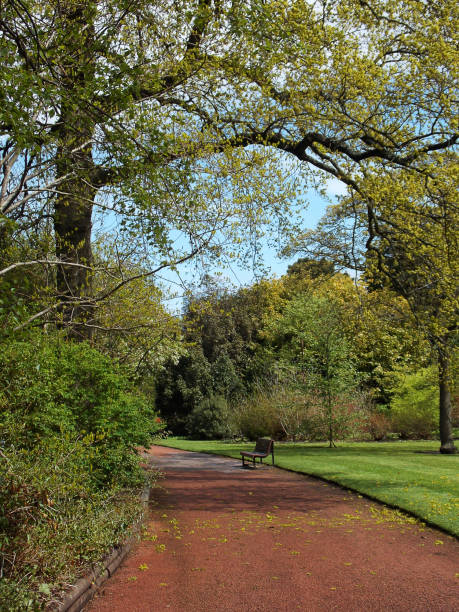 istock Green park, park bench and footpath 678816388