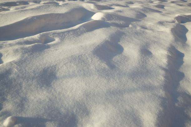 istock Nature covered in snow during winter. 678816854