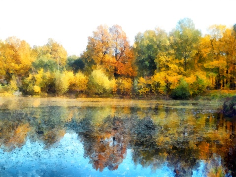 Bright yellow autumn park with reflected trees and blue sky in pond. Watercolor
