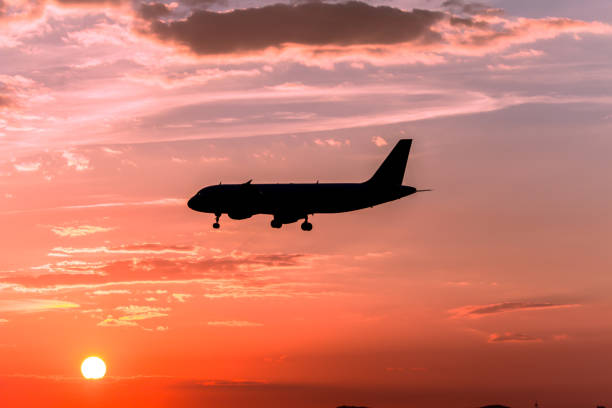 istock Airplane landing at sunset 678831322