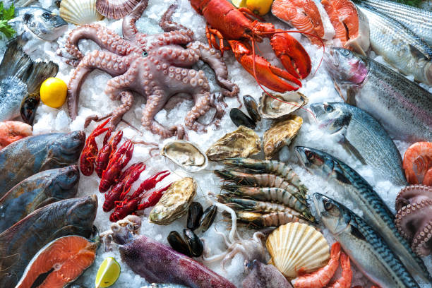 pescados y mariscos en el hielo - catch of fish seafood freshness fish fotografías e imágenes de stock