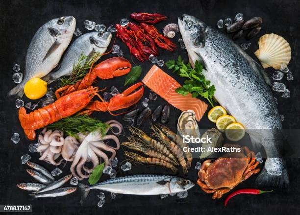 Fresh Fish And Seafood Stock Photo - Download Image Now - Seafood, Variation, Black Color