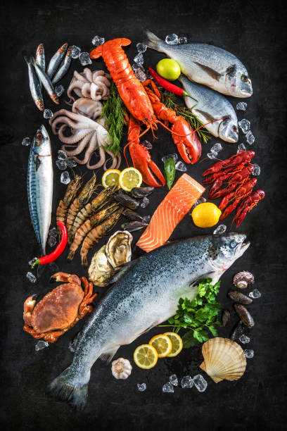 fresh fish and seafood - catch of fish gilt head bream variation fish imagens e fotografias de stock