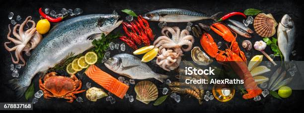 Fresh Fish And Seafood Stock Photo - Download Image Now - Seafood, Catch of Fish, Crustacean