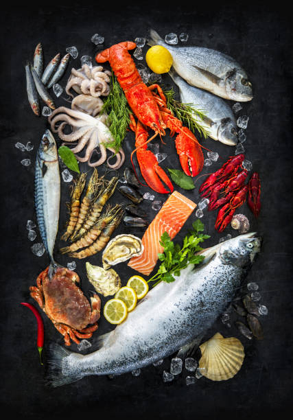 fresh fish and seafood - catch of fish gilt head bream variation fish imagens e fotografias de stock