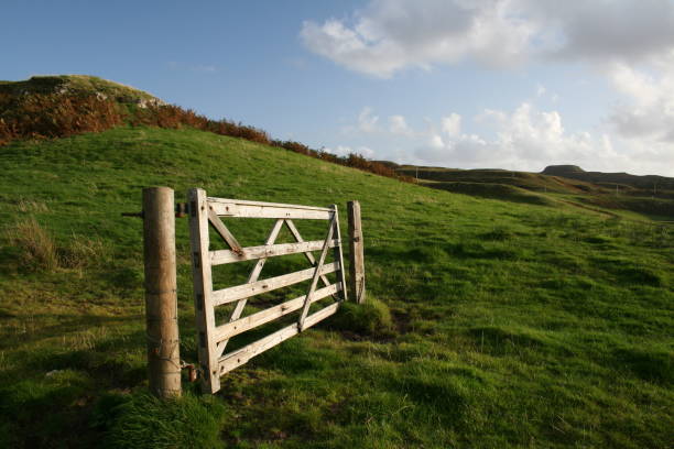 istock A gate but no fence (2) 678847624