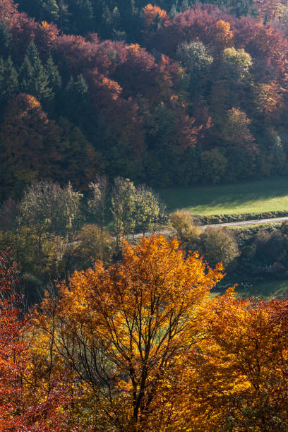 istock indian summer in south germany 678852872