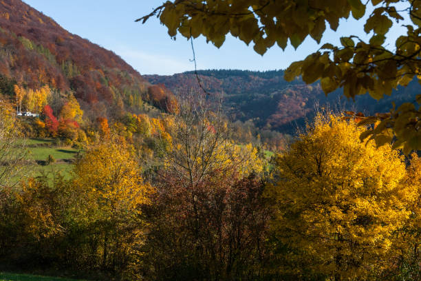 istock indian summer in south germany 678853898